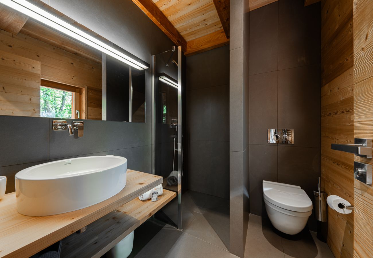Chalet à La Salle-les-Alpes - Belliou
